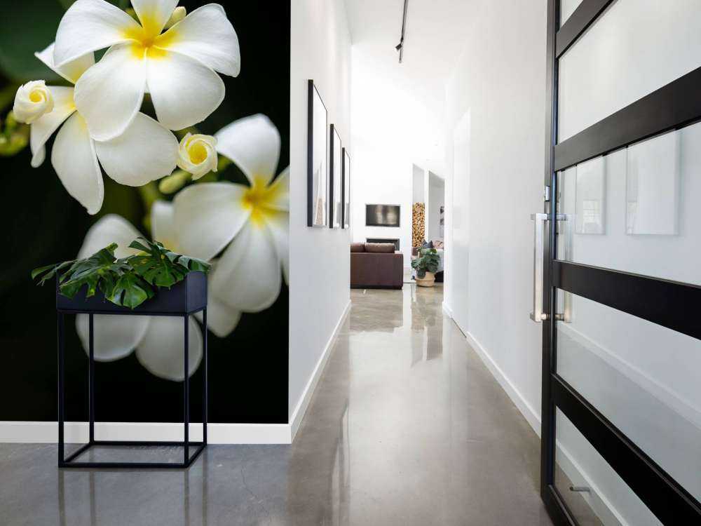 Close-up Plumeria