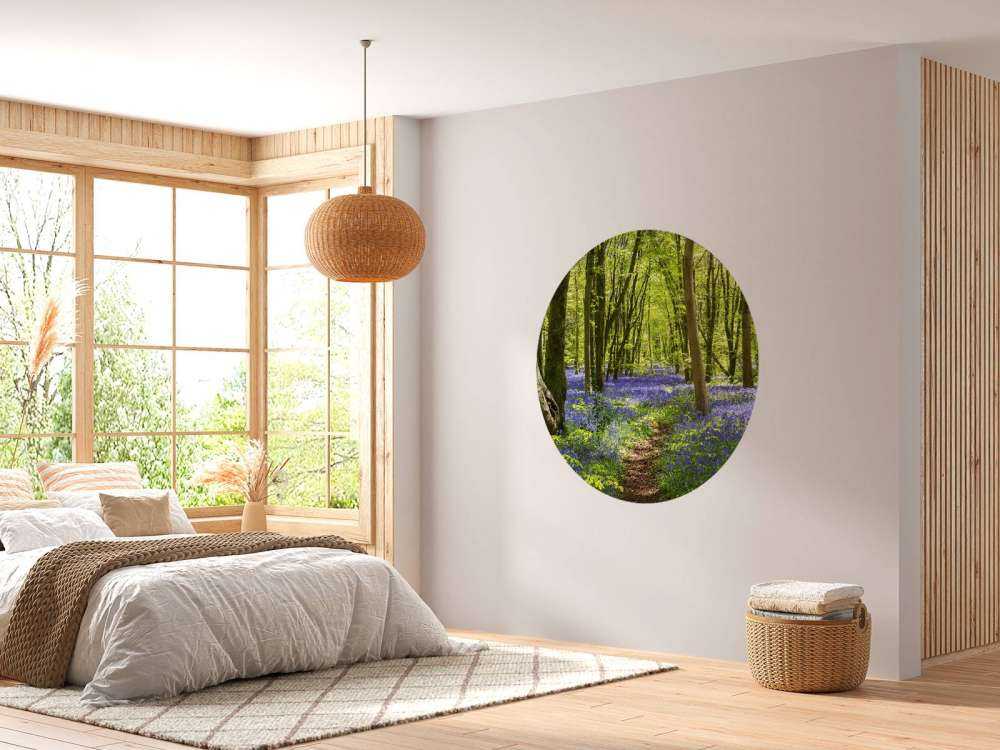 Forêt dans la lumière du soleil