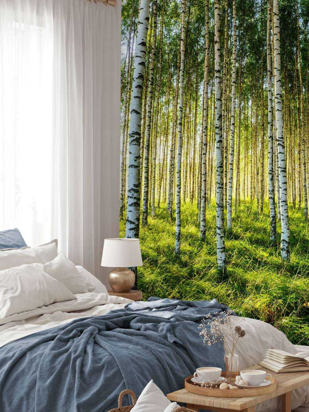 Forêt de bouleaux d'été