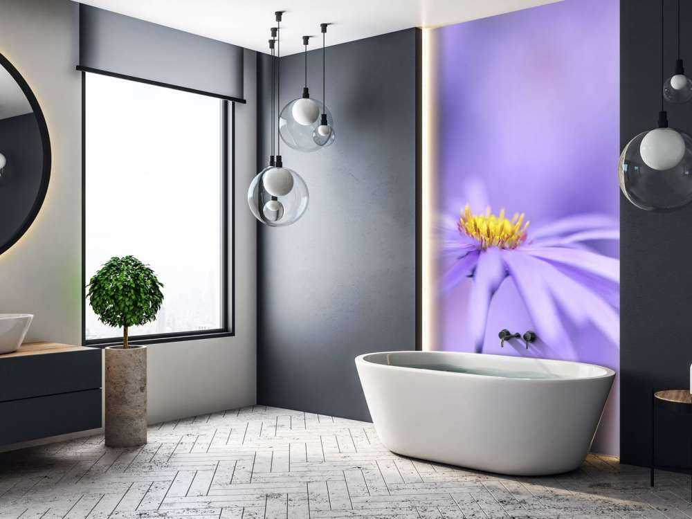 Marguerites violettes