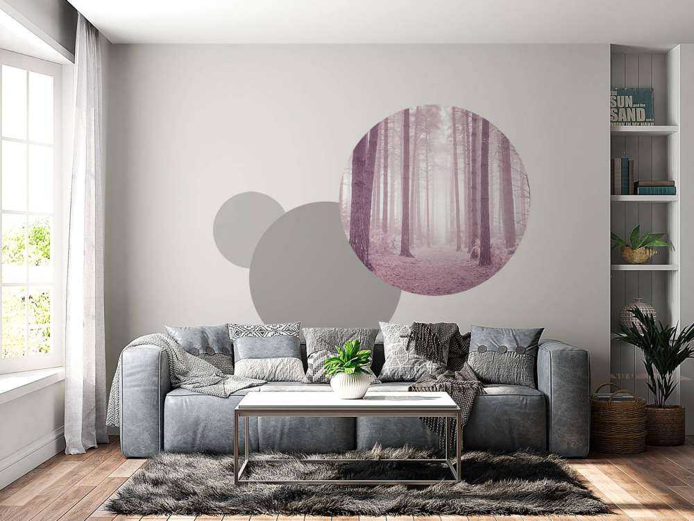 Arbres dans la brume