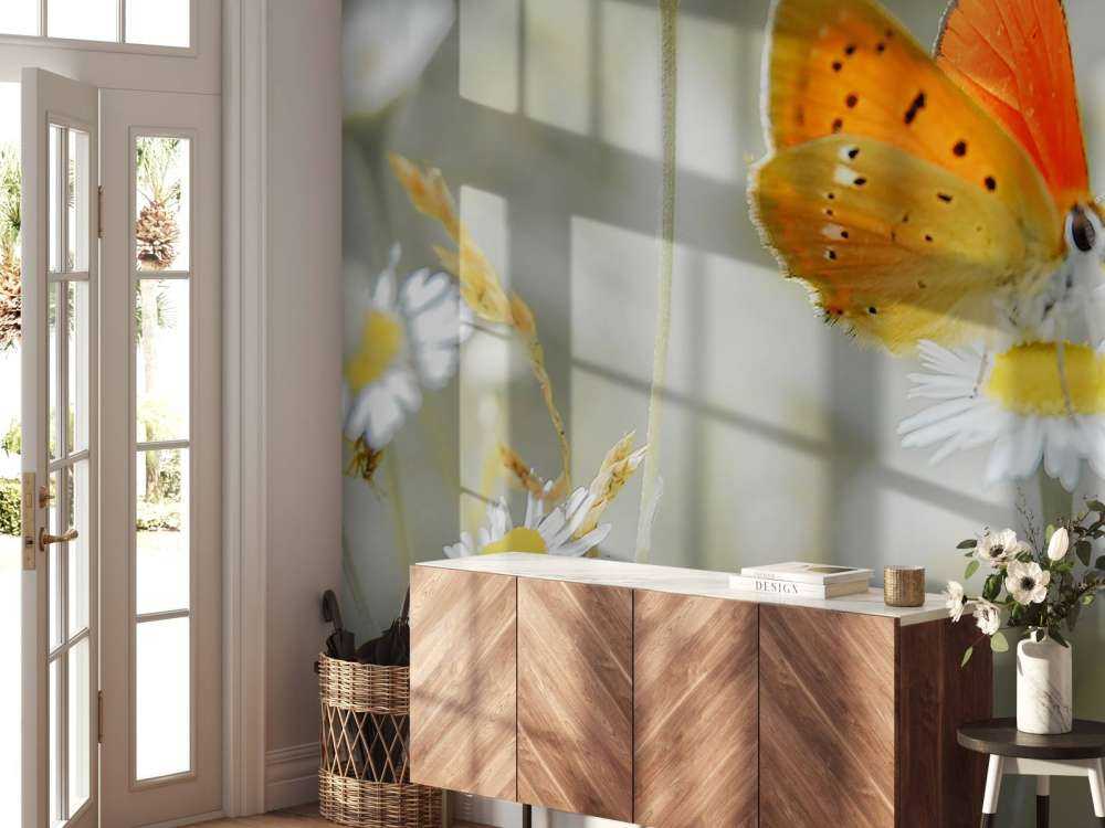 Marguerites et papillon orange