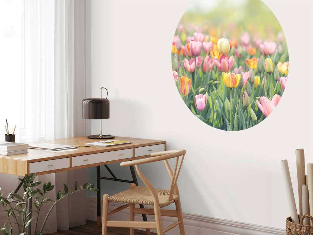Des tulipes colorées