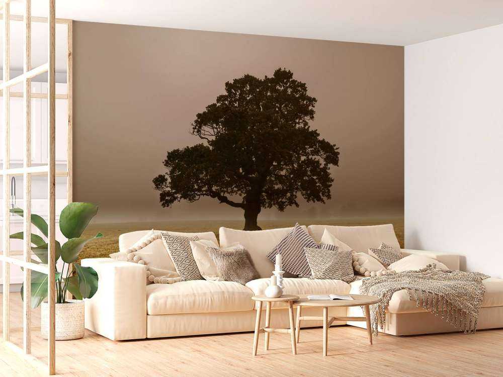 Arbre dans le brouillard