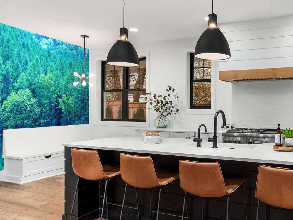 Lac dans une forêt verte