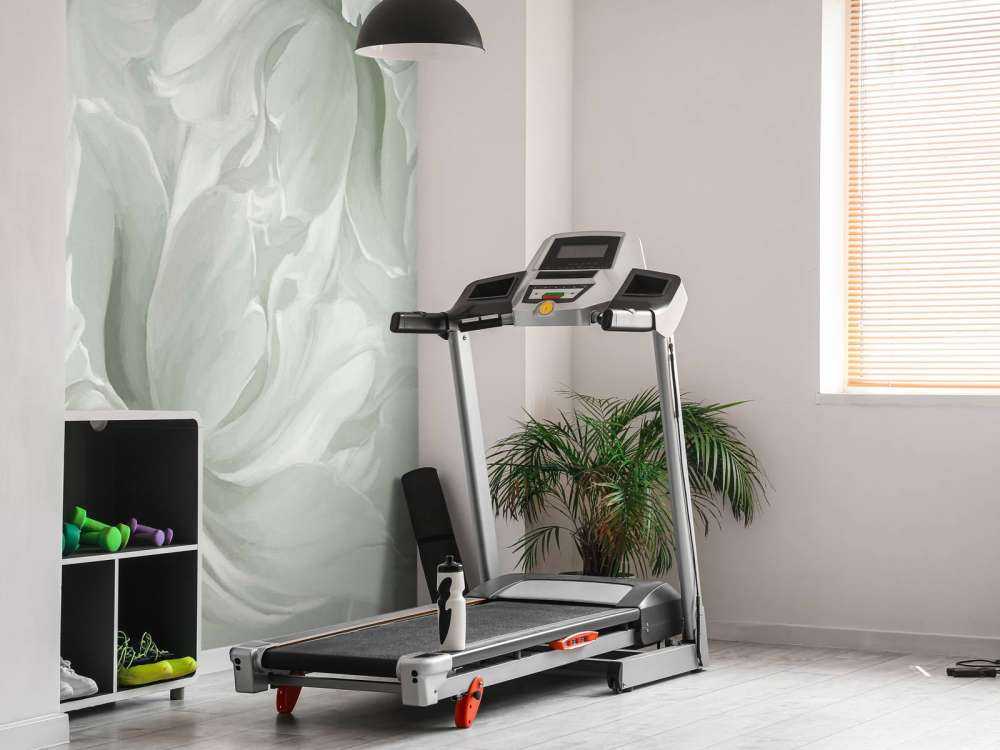 Grandes tulipes vertes