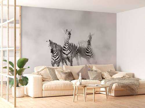 Zebras