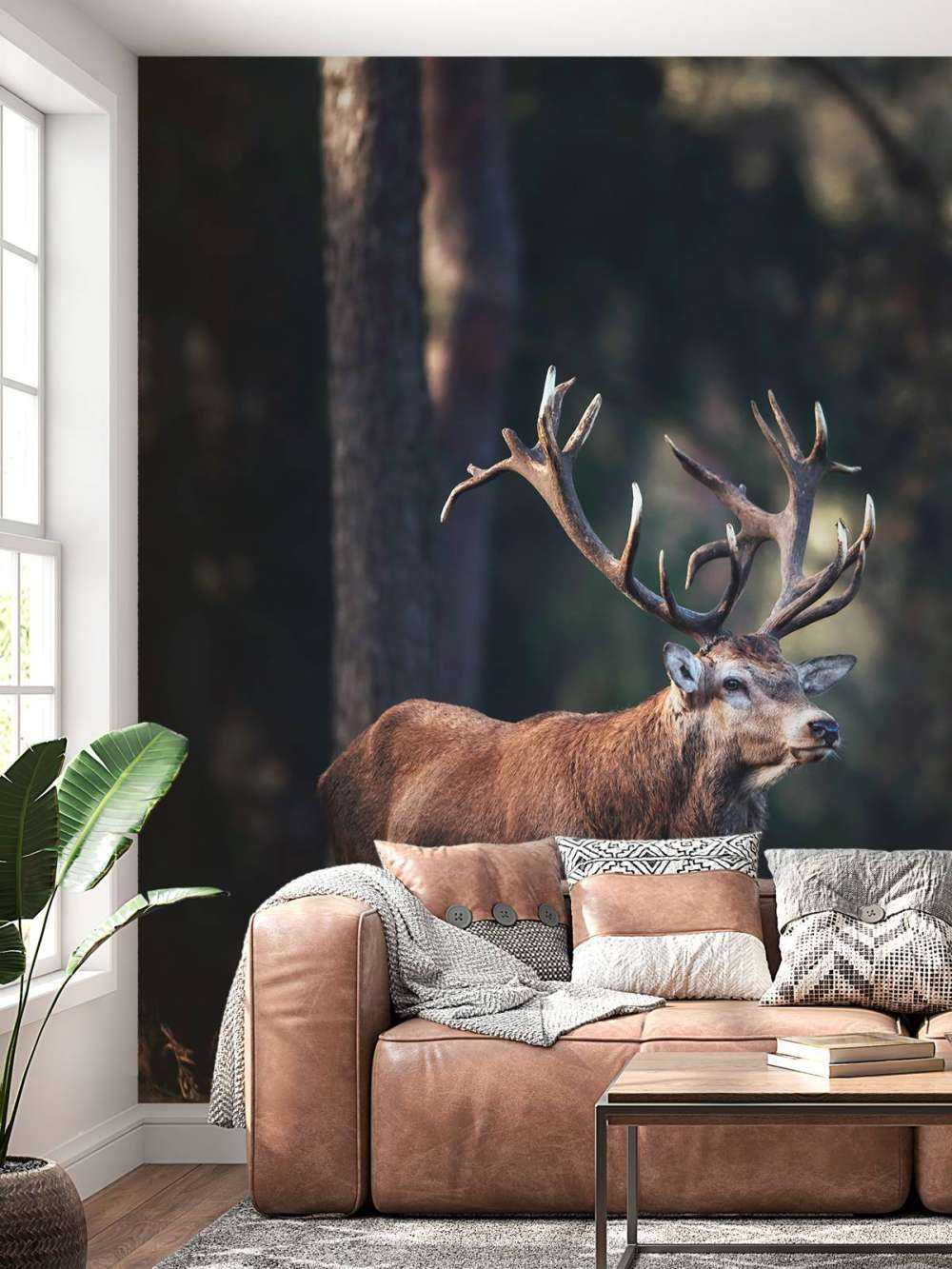 Un cerf sur une colline