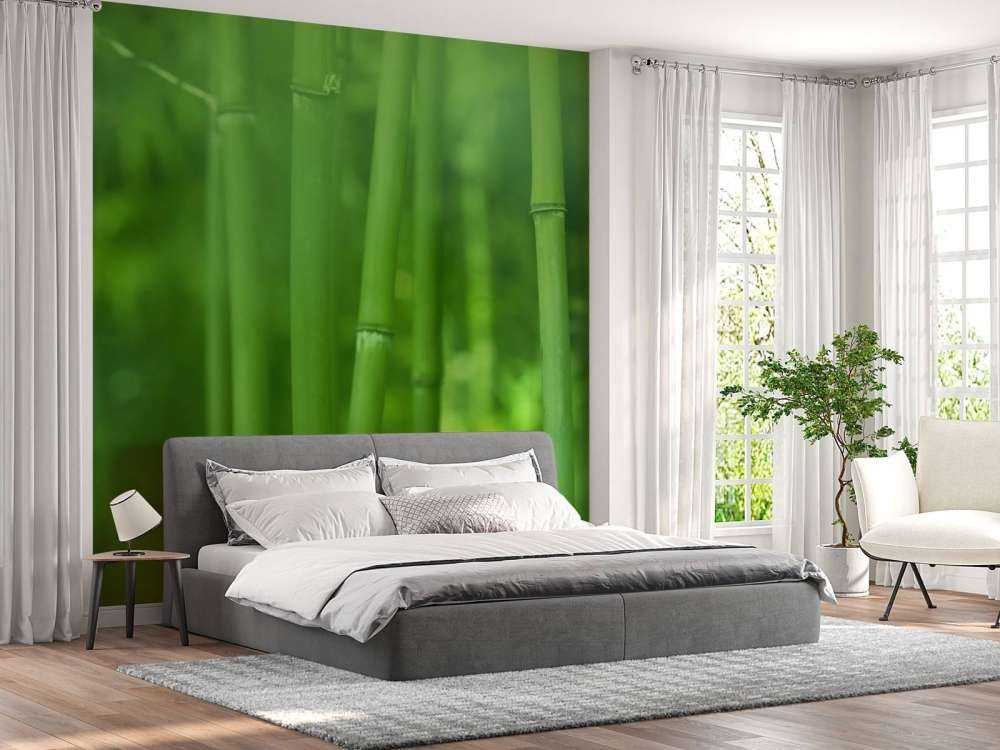 Bambou et feuilles
