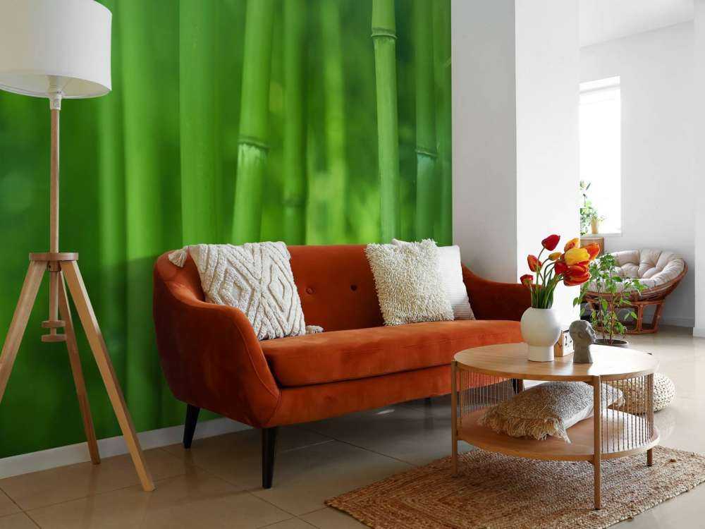 Bambou et feuilles