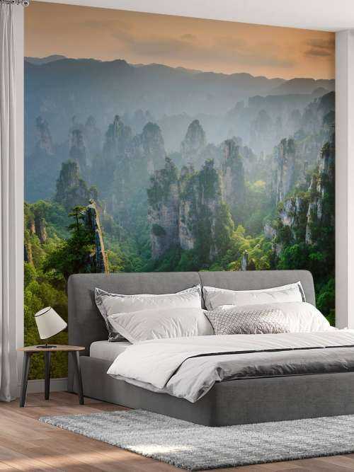 Jungle d'en haut
