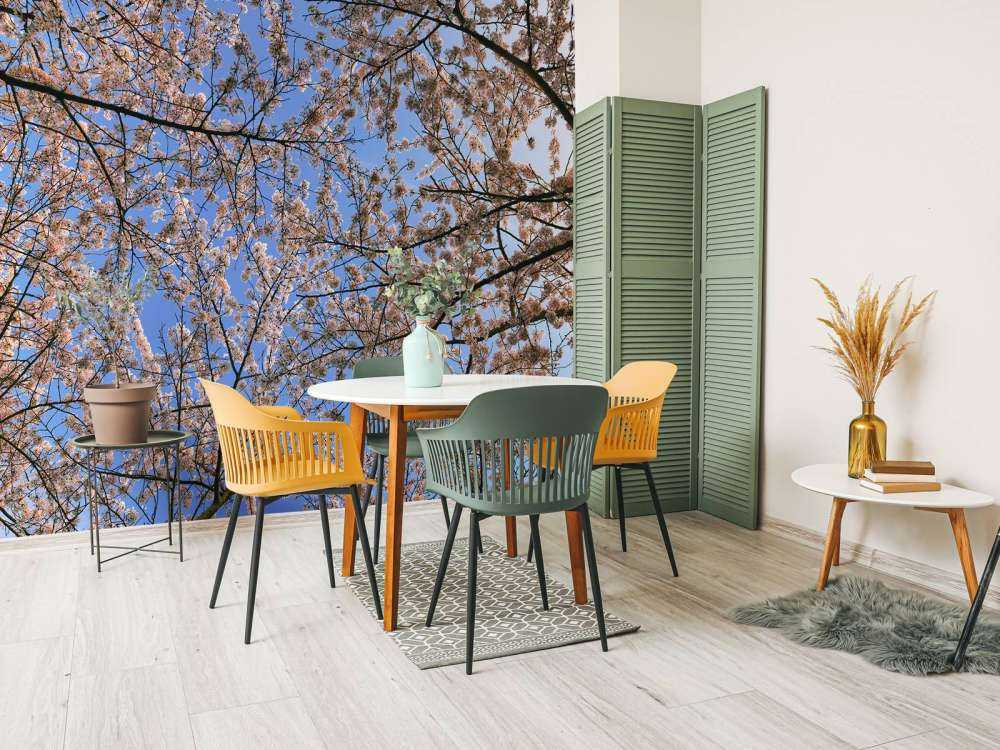 Des branches fleuries en pleine floraison