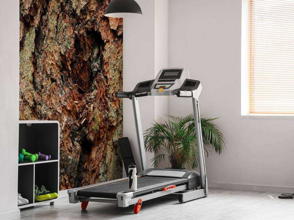 Écorce d'arbre vieil arbre
