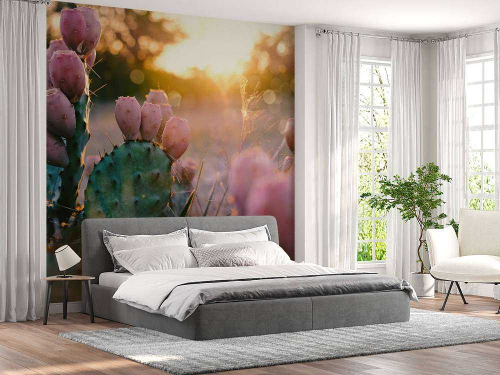 Cactus à fleurs