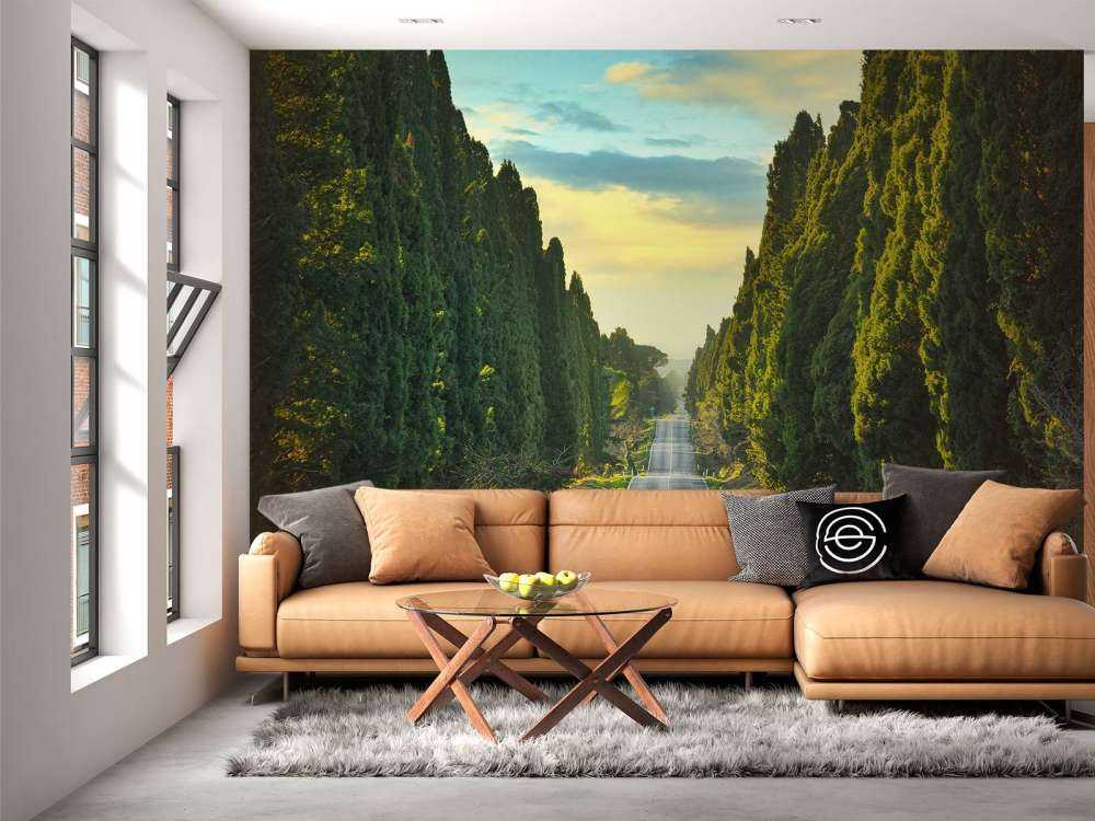 Route avec de grands arbres