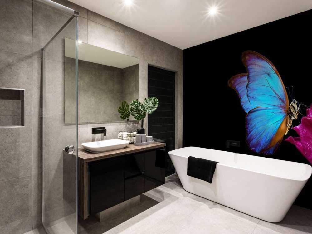 Papillon sur tulipe