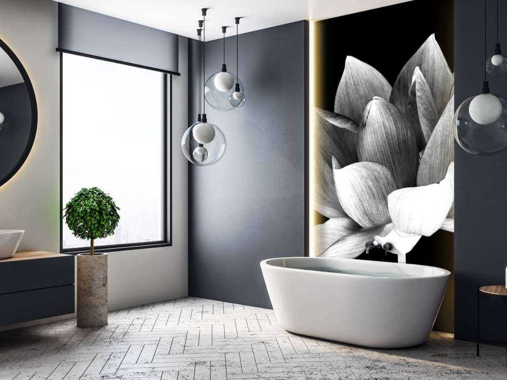 Lotus menotté