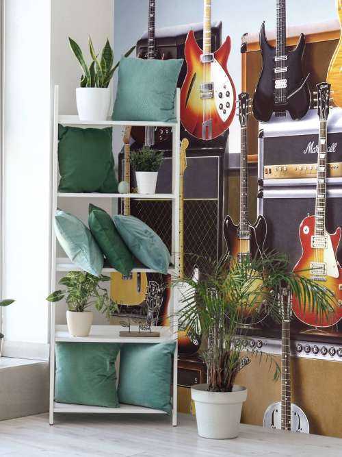 Guitars