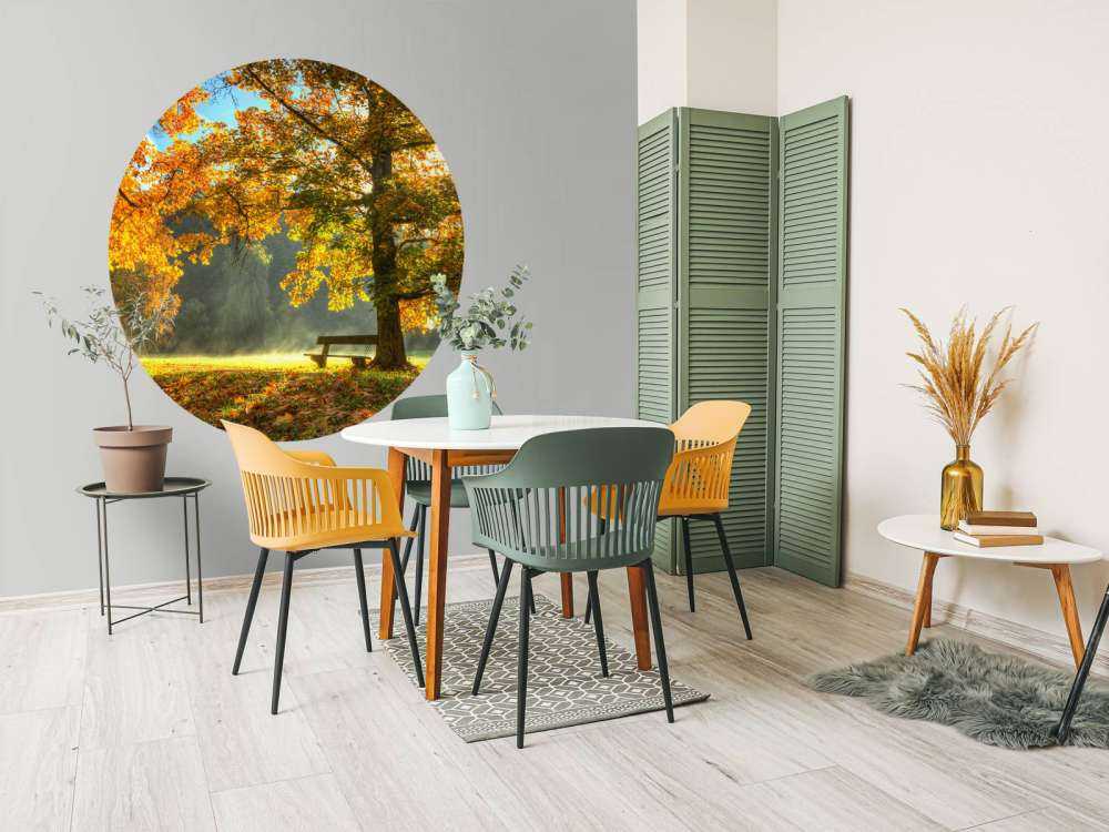 Arbre aux couleurs de l'automne