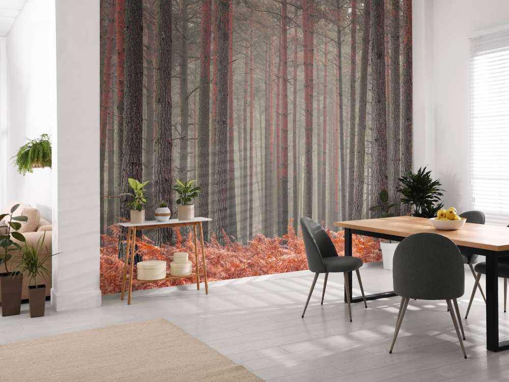 Arbres en automne