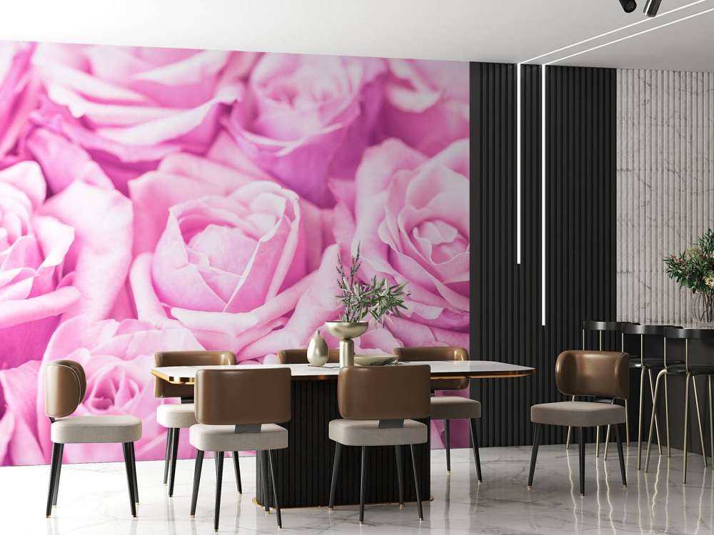 Plusieurs roses roses