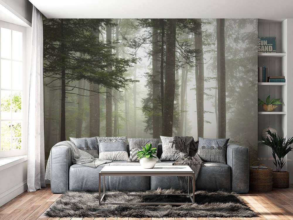 Beau paysage brumeux