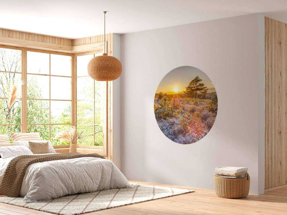Coucher de soleil en hiver