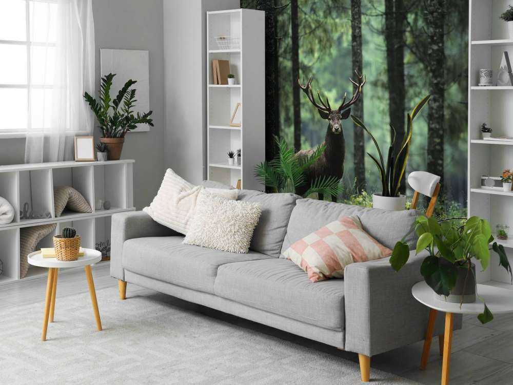 Grand cerf entre les arbres