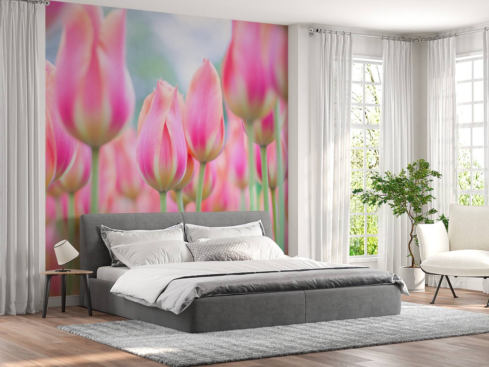 Gros plan sur des tulipes roses