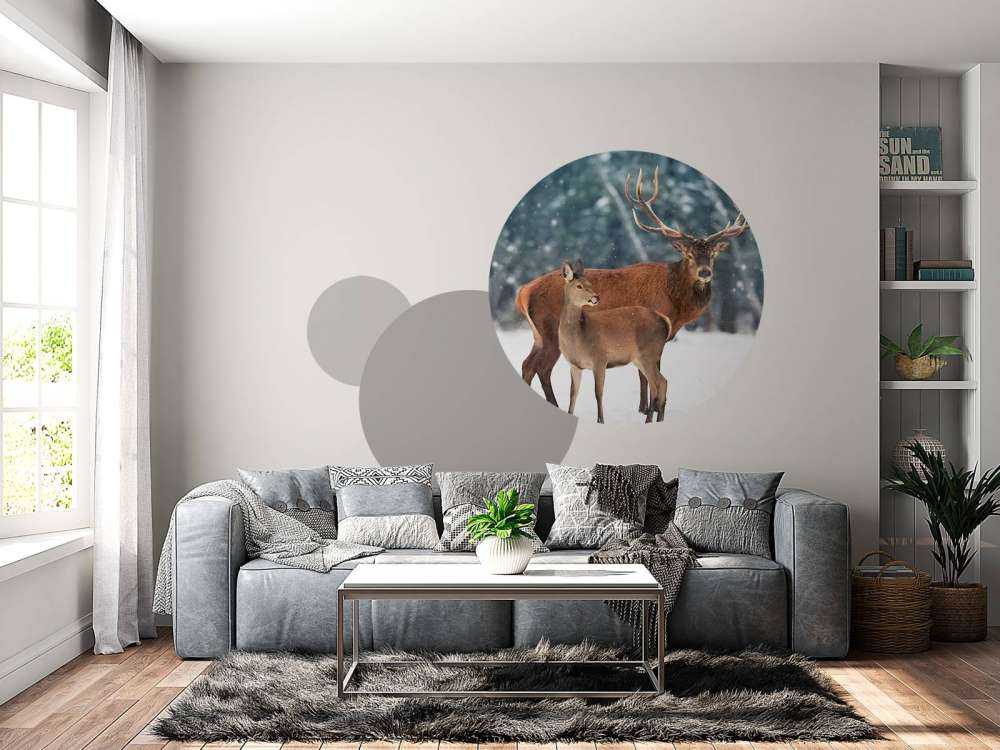 Cerf avec son faon