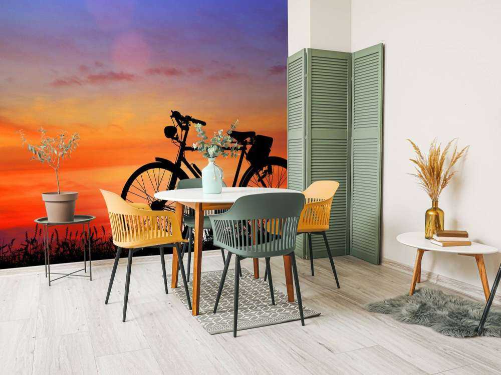 Vélo vintage au coucher du soleil
