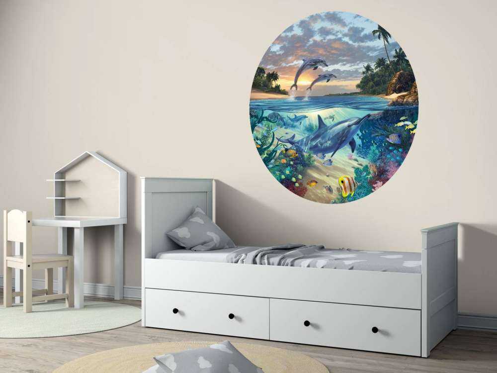 Dolphins Playground