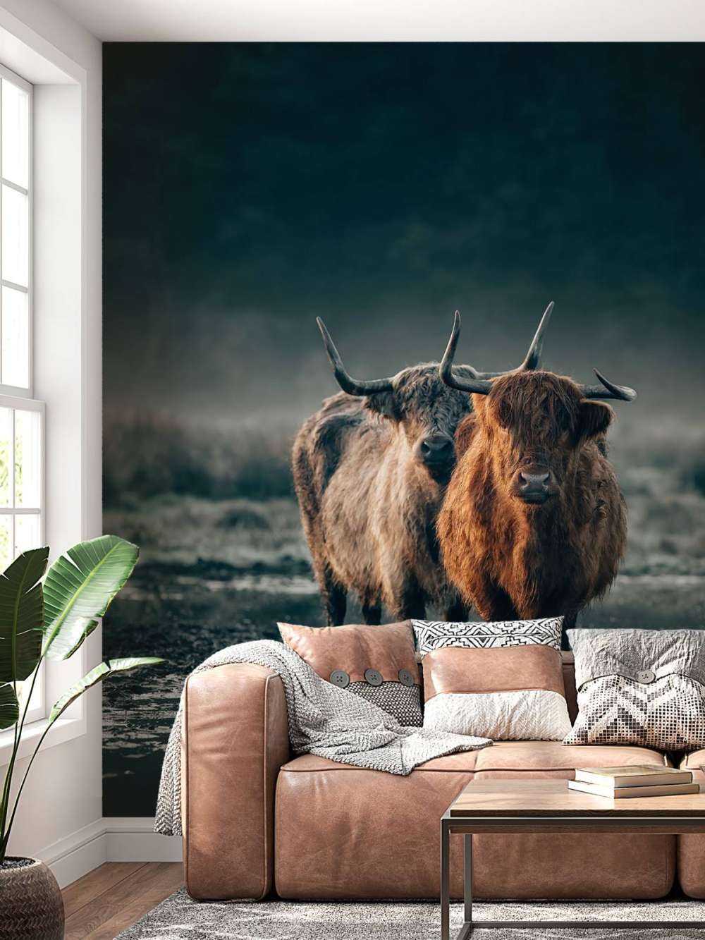Couple de Highlanders