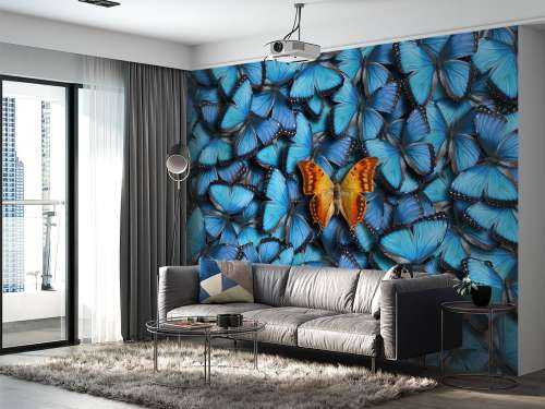Composition du papillon