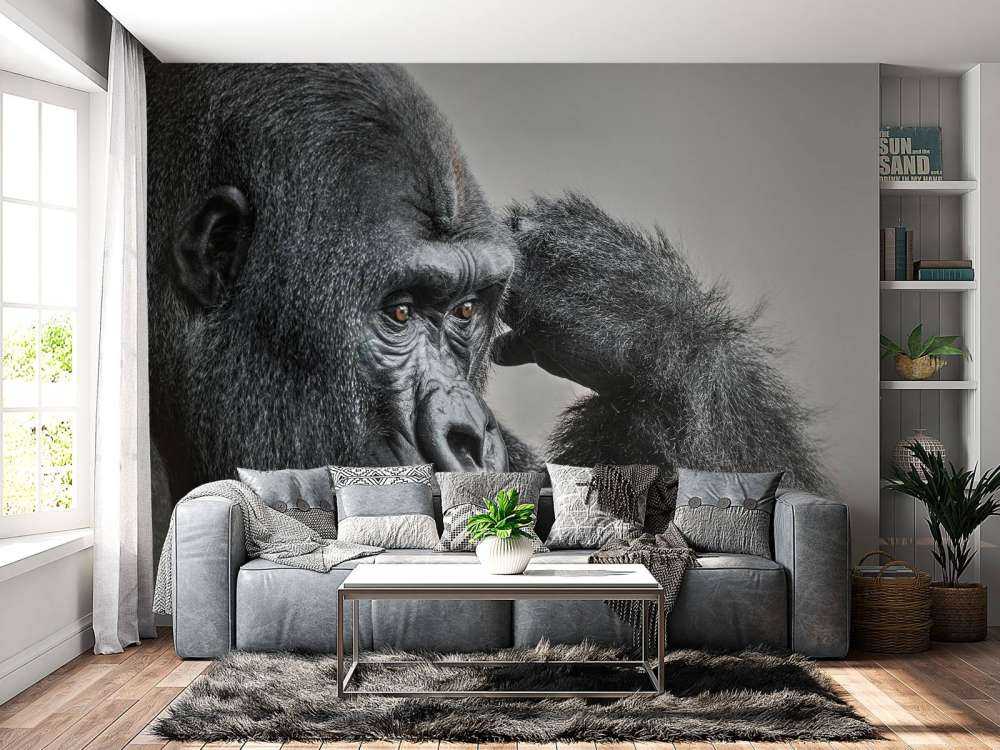 Gorille noir et blanc