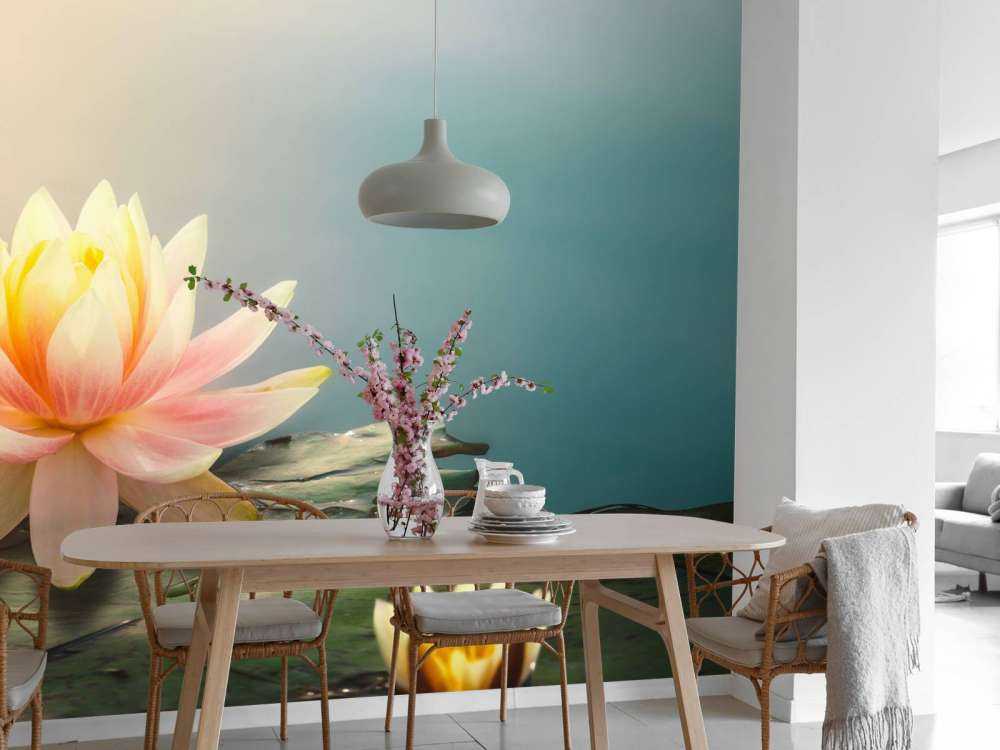 Étang avec fleurs de lotus