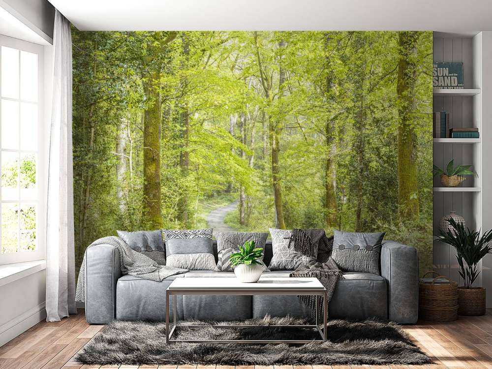 la forêt verte