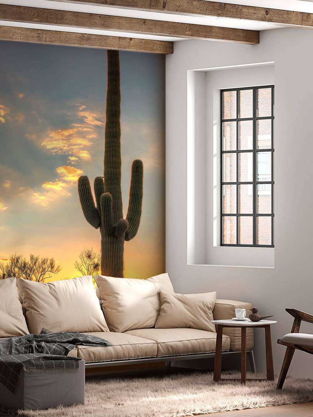 Cactus au coucher du soleil