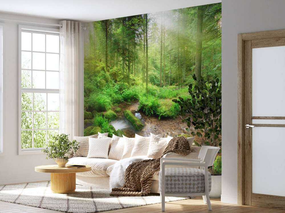 Paysage forestier enchanteur