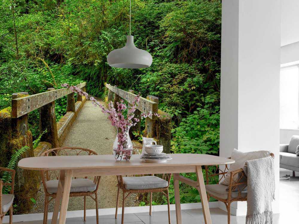 Pont dans la forêt