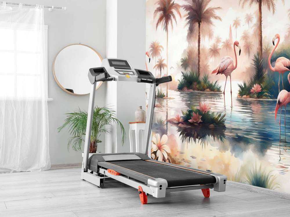 Orange Paradis