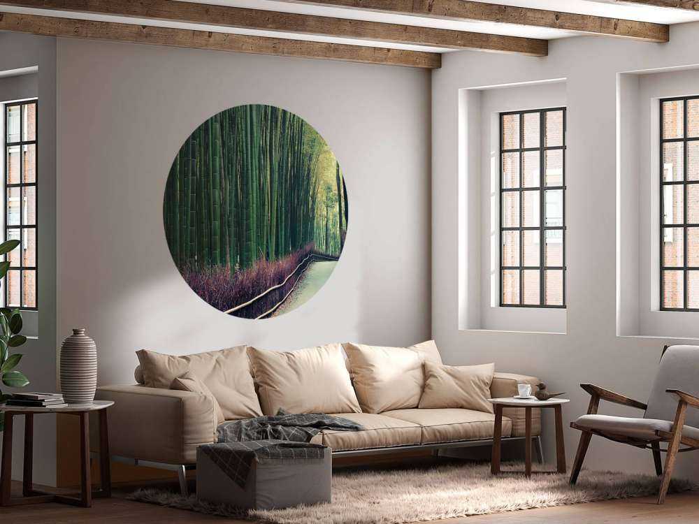 Forêt de bambous