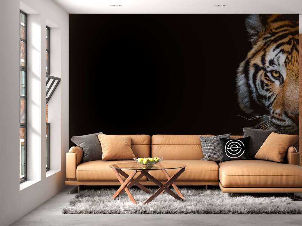 Panorama des tigres