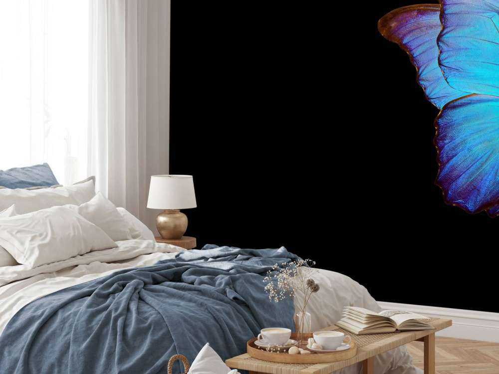 Papillon sur tulipe
