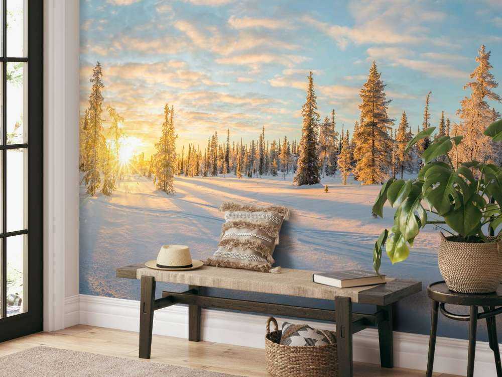 Paysage de neige au coucher du soleil