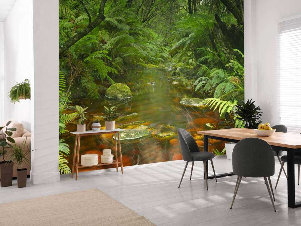 Rivière dans la forêt tropicale