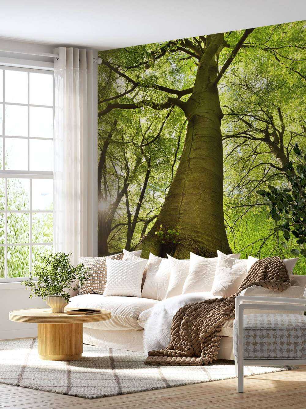 Grand arbre et racines