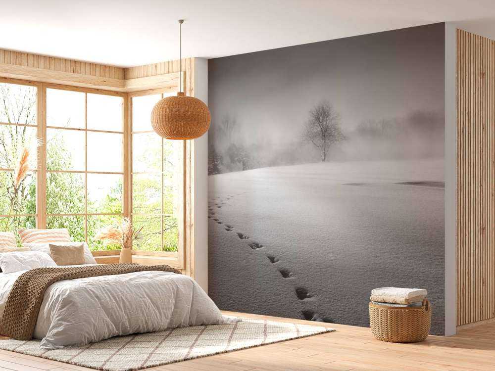 Winter scenery