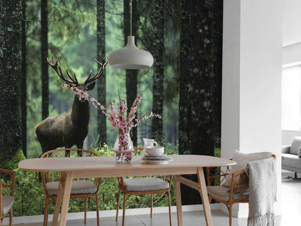 Grand cerf entre les arbres