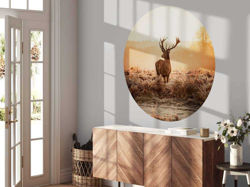 Cerf au lever du soleil